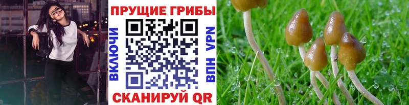 Псилоцибиновые грибы Magic Shrooms Гороховец