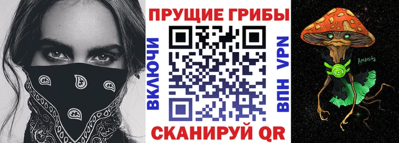 хочу   Гороховец  Псилоцибиновые грибы прущие грибы 