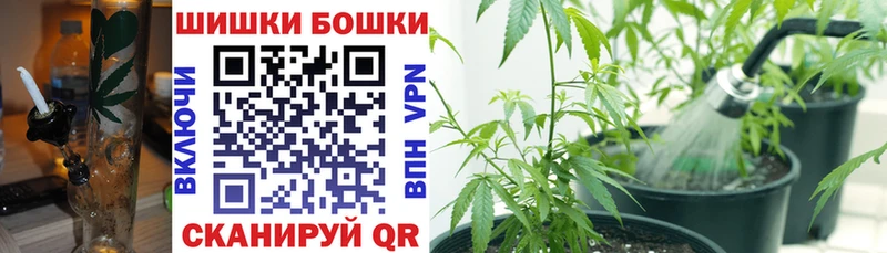 Шишки марихуана тримм  цена наркотик  Гороховец 